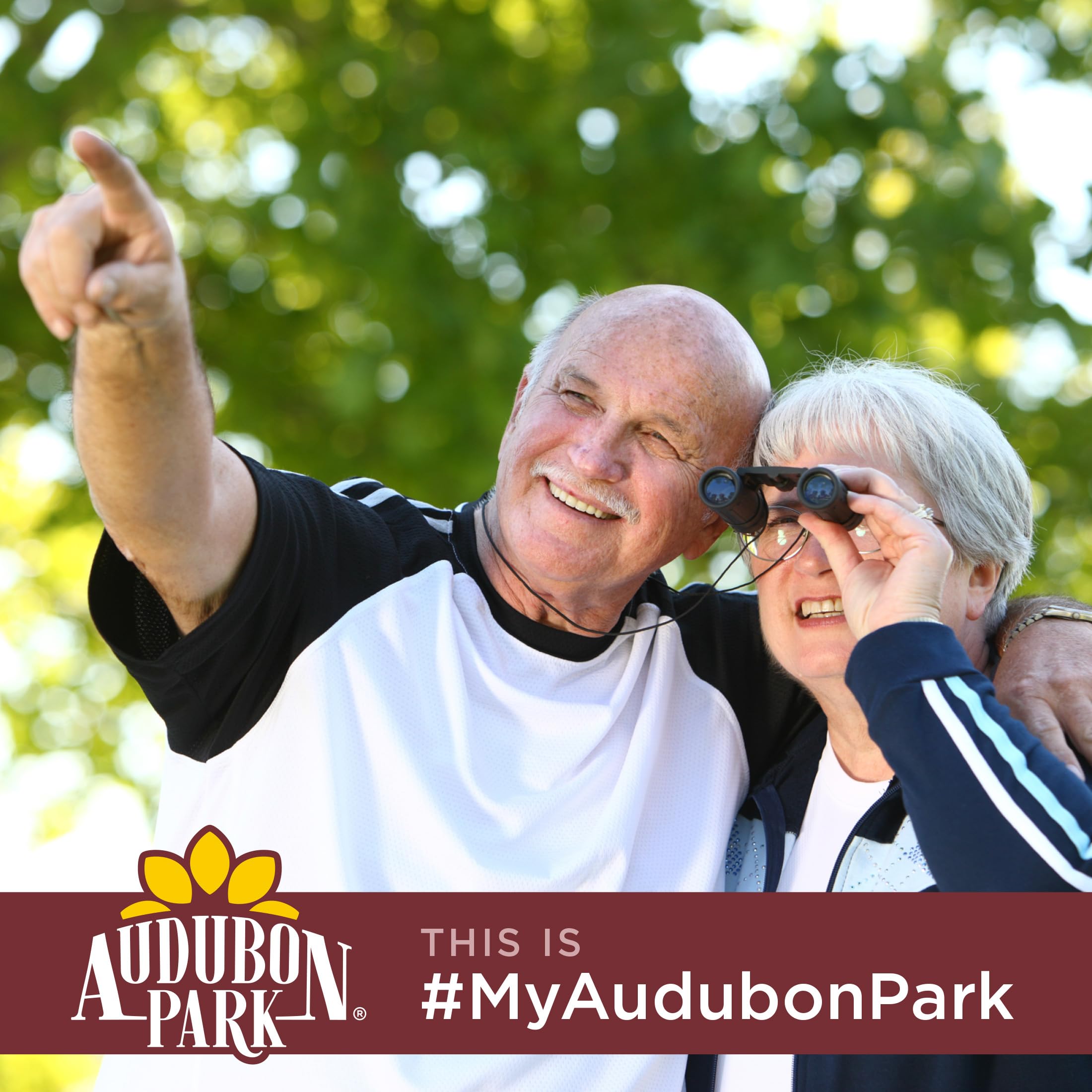 Audubon Park vida silvestre en jardín disfrutando la mezcla variada