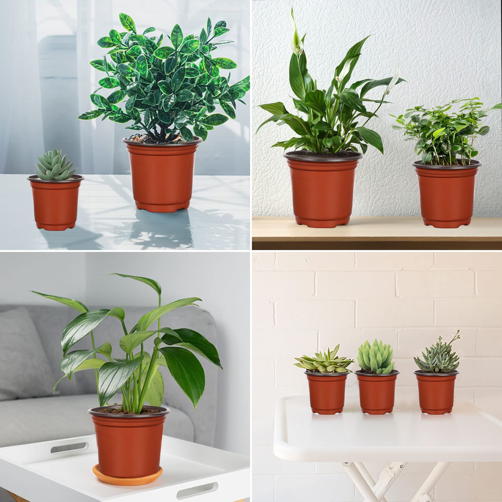 Augshy escena de jardín mostrando versatilidad para cultivo urbano