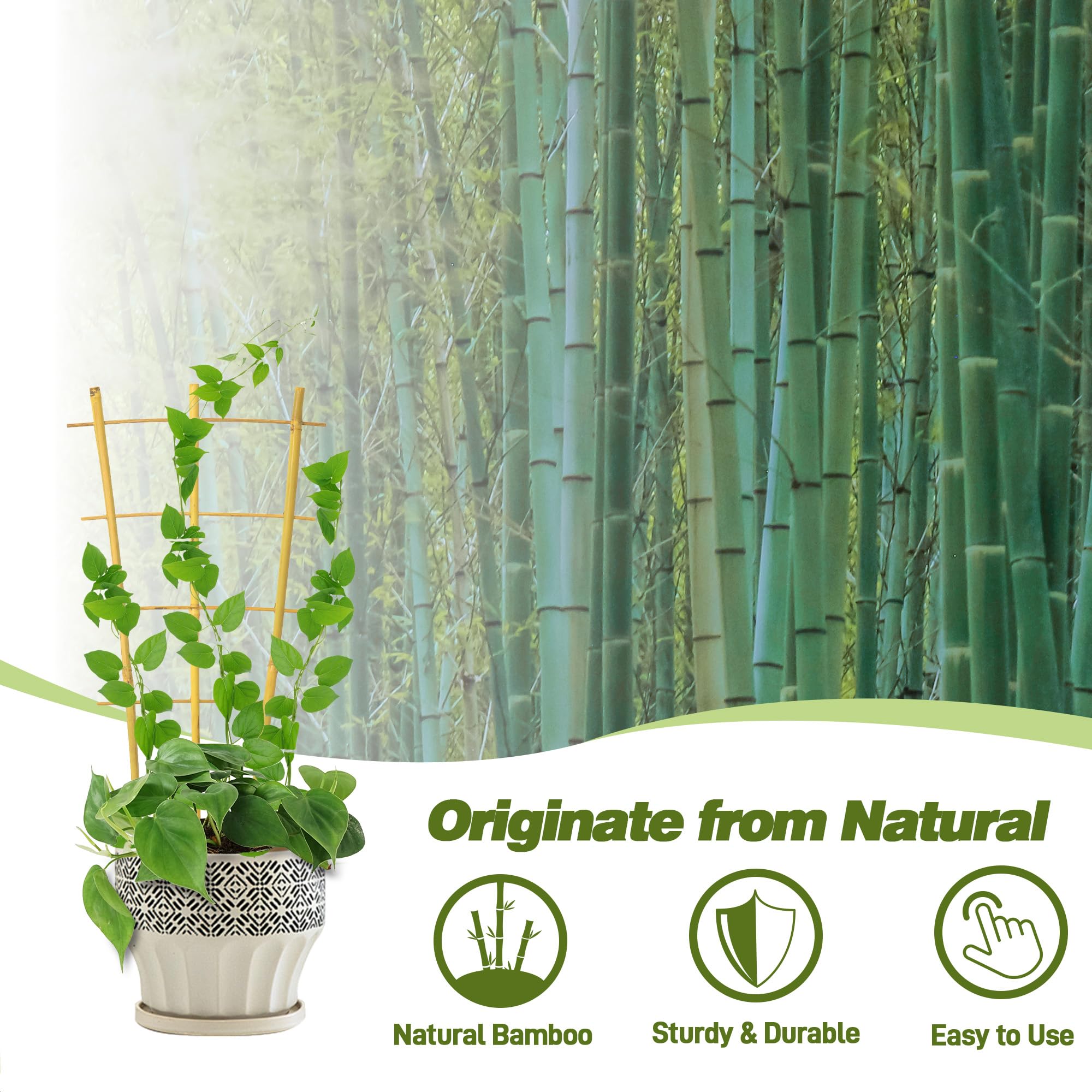 Avalution trellis junto a maceta para comparar tamaño y escala