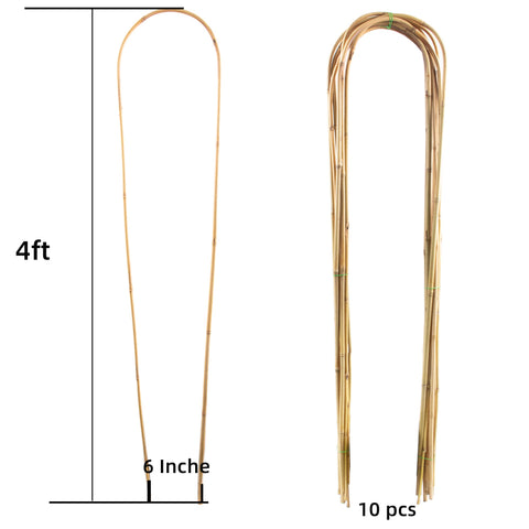 Avalution primer plano del bambú que muestra textura resistente y duradera