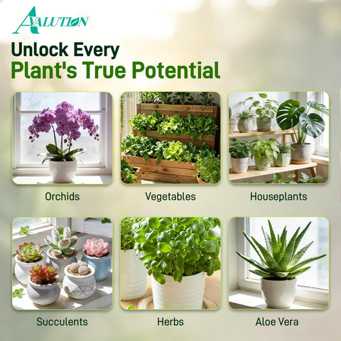 Avalution etiqueta con ingredientes naturales y ventajas claras