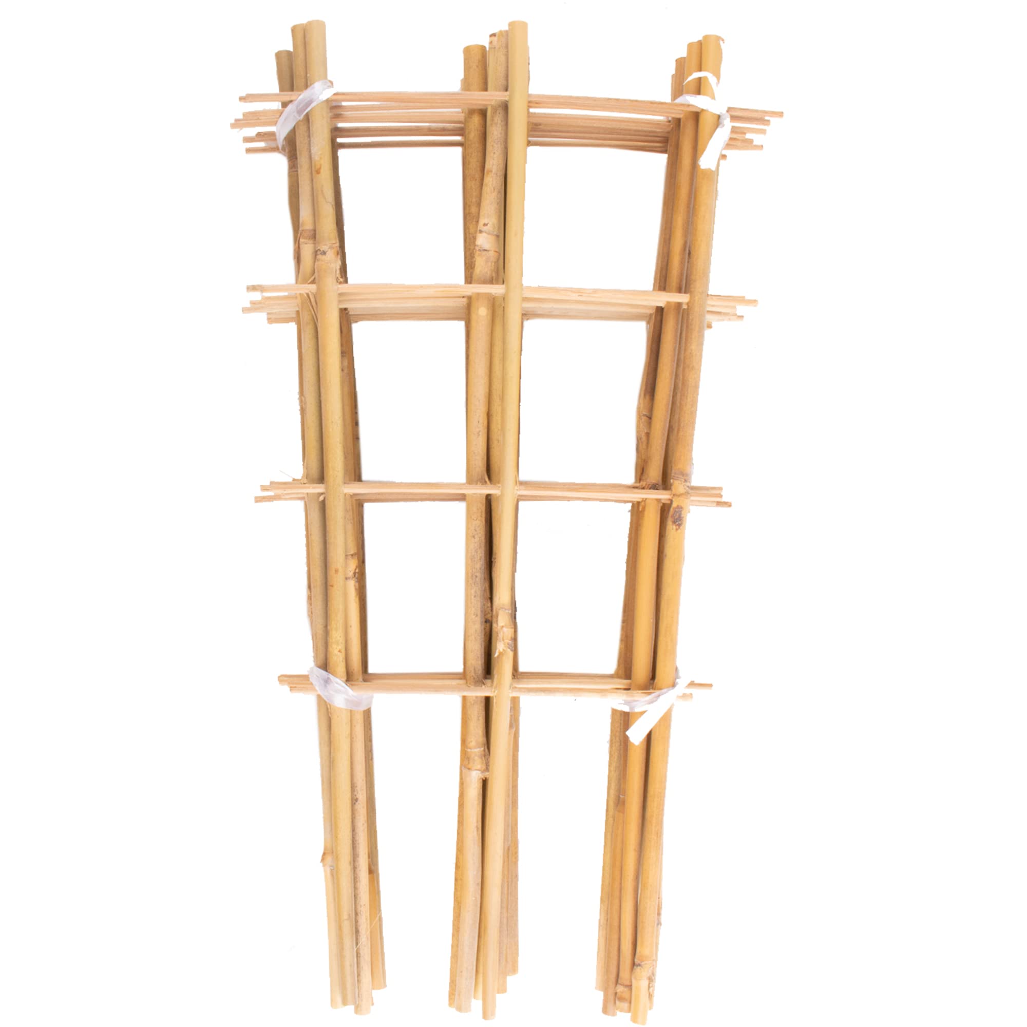 Avalution trellis frontal pack 10 mostrando organización y soporte