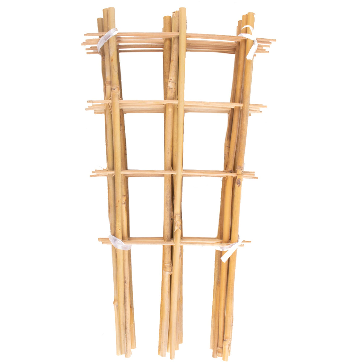 Avalution trellis frontal pack 10 mostrando organización y soporte