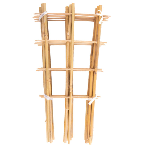 Avalution trellis frontal pack 10 mostrando organización y soporte