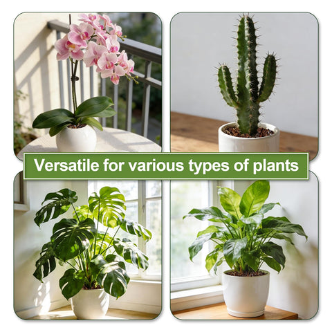 Avalution orquídeas y otras plantas lucen sanas con esta mezcla