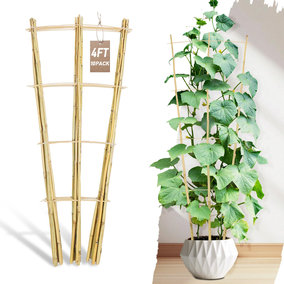 Avalution trellis frontal mostrando estructura escalera y soporte estético