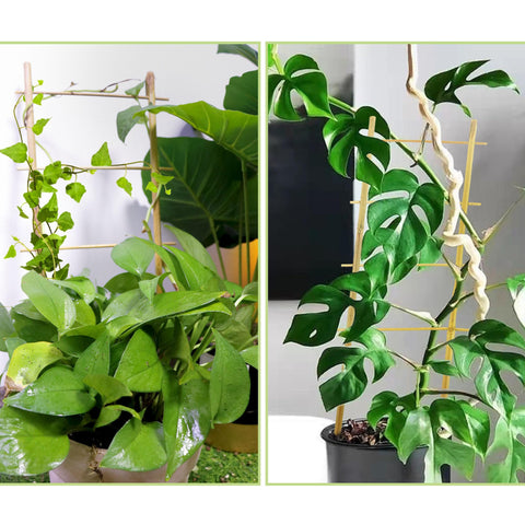 Avalution conjunto de 20 trellis desplegados mostrando variedad y reutilizables
