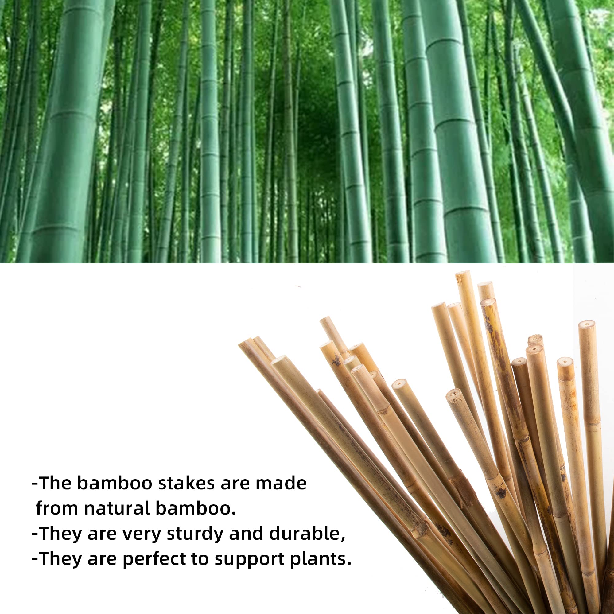 Avalution primer plano de la textura de bambú que resalta durabilidad natural