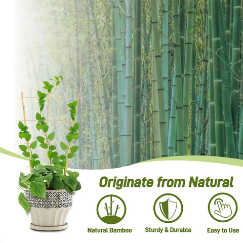 Avalution trellis en maceta en uso, guía y soporte para crecimiento