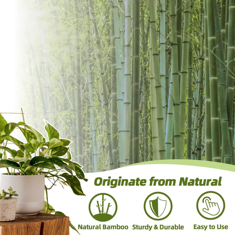 Avalution trellis insertado en maceta sosteniendo planta y mejorando crecimiento