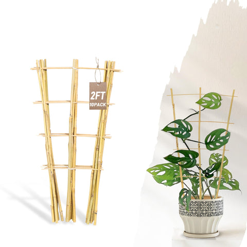Avalution trellis frontal pack mostrando 10 soportes, solución compacta