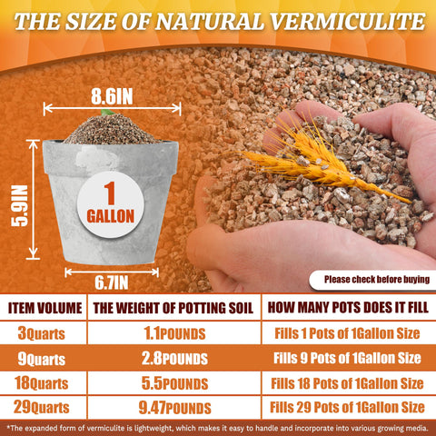 Avalution vermiculita usada en semillero promoviendo germinación estable