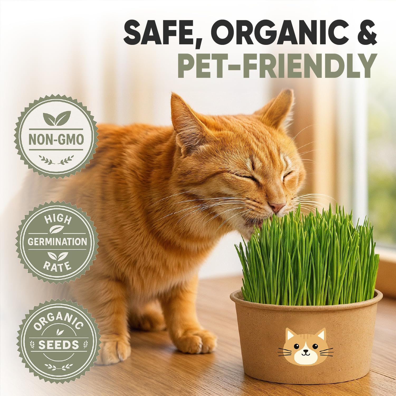 AVERGO gato oliendo la hierba, incentivo natural para masticar seguro