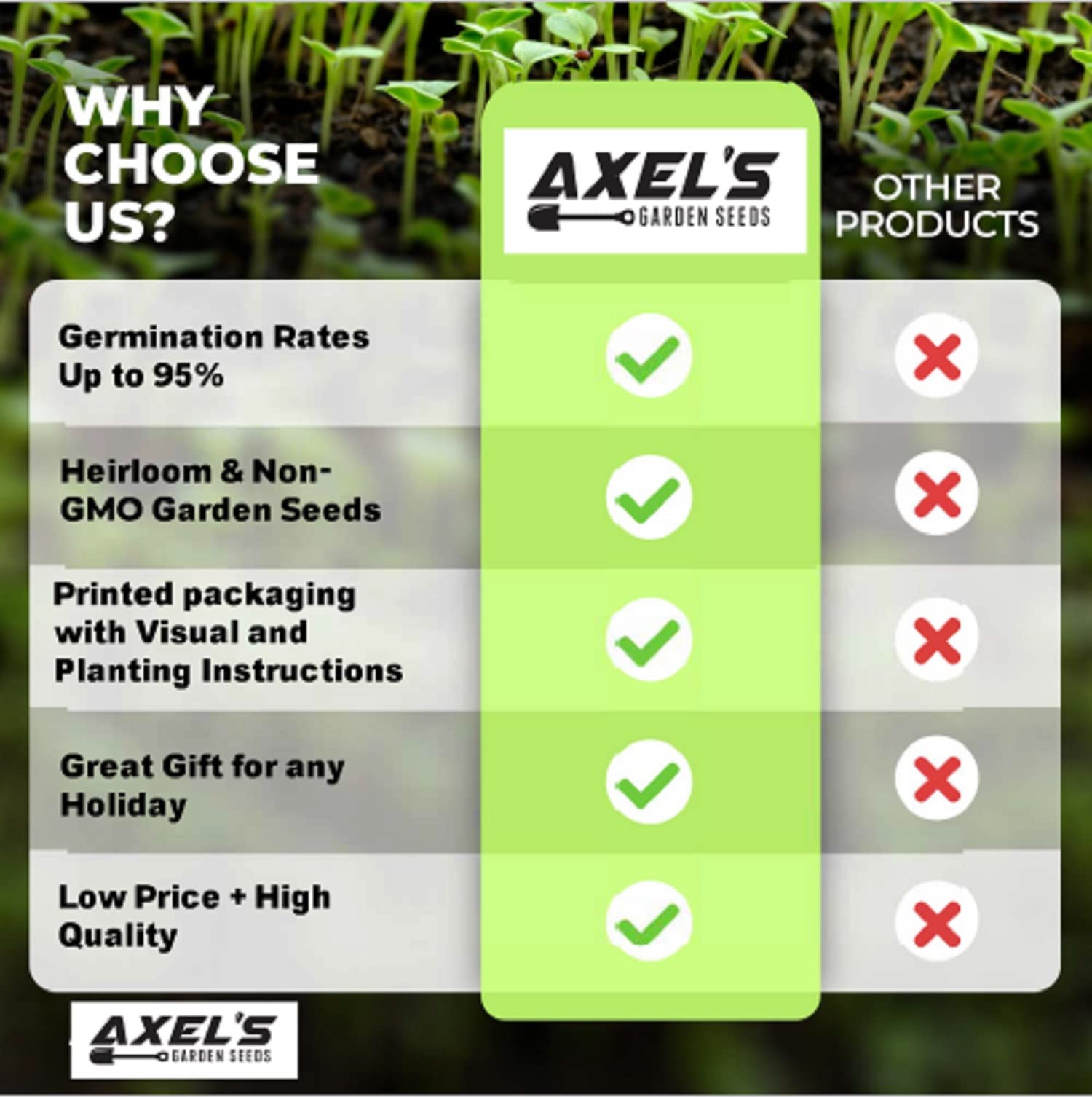 Axel's Garden Seeds zanahoria junto a mano para referencia de tamaño
