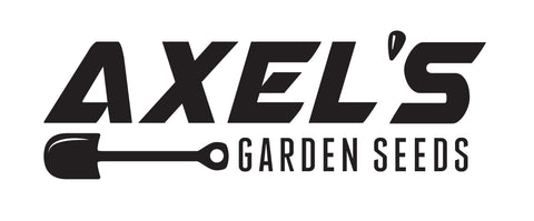 Axel's Garden Seeds semillas en mano demostrando tamaño y facilidad de siembra