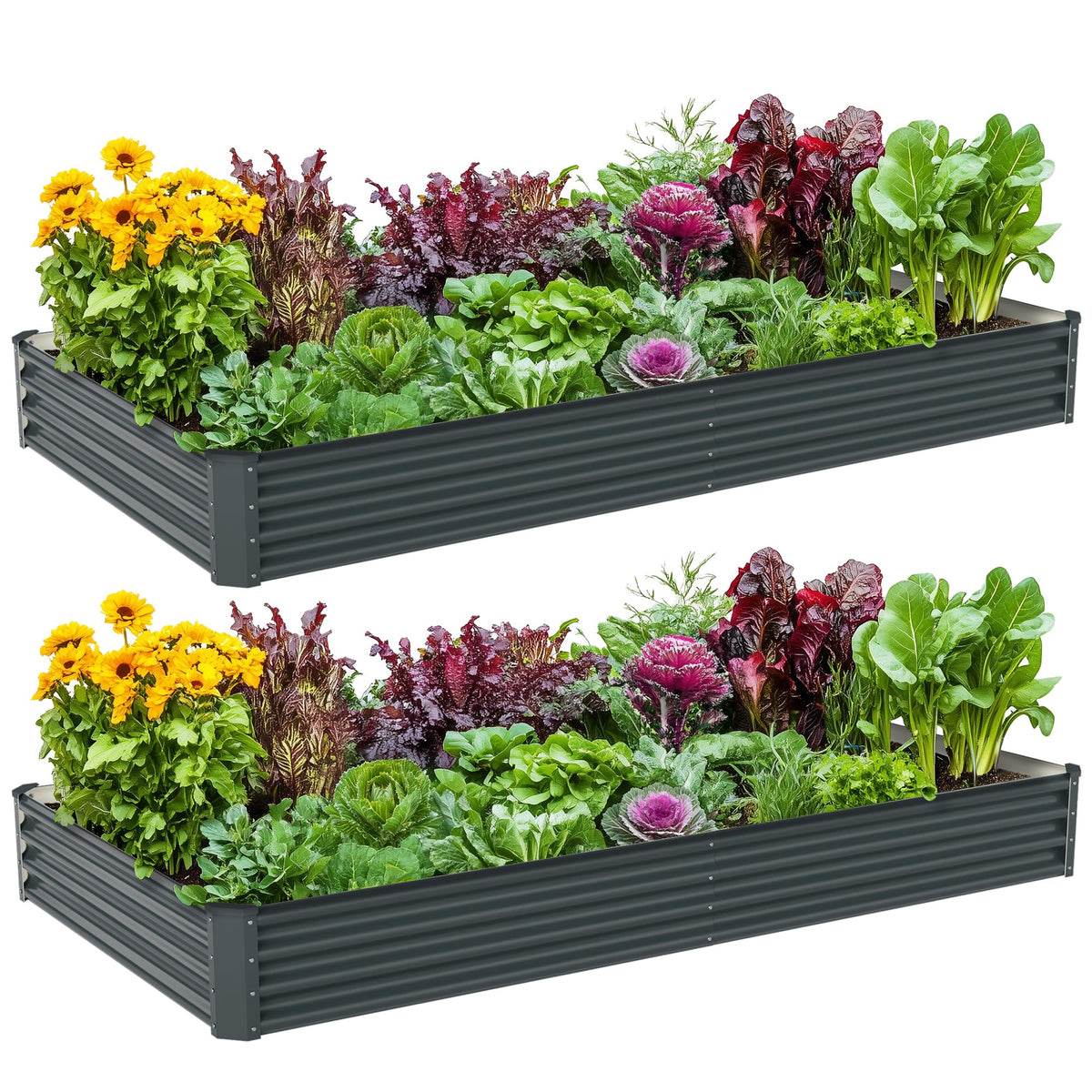 Ayen Guard vista frontal de la cama ensamblada para cultivar más
