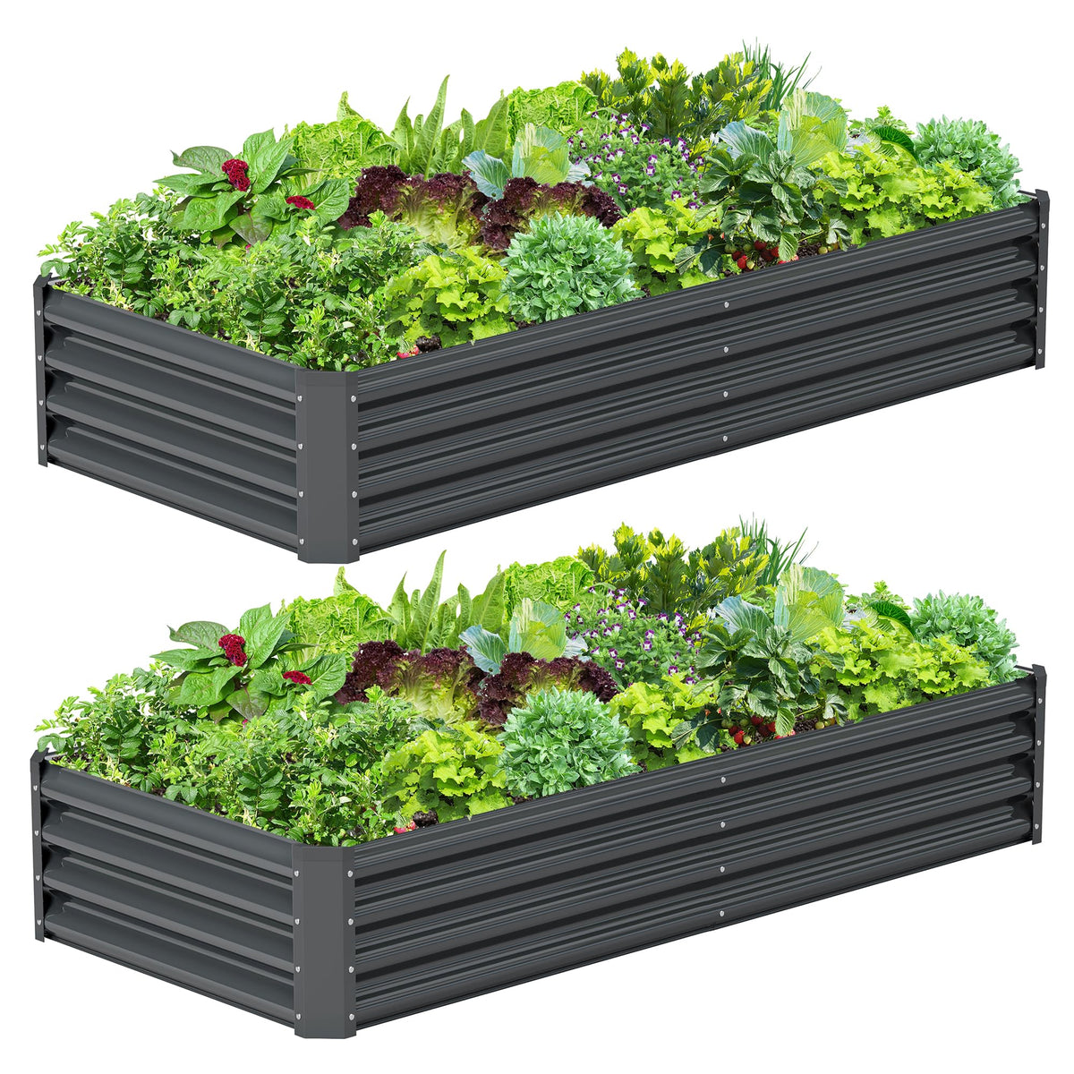 Ayen Guard vista frontal de la cama elevada mostrando espacio de cultivo