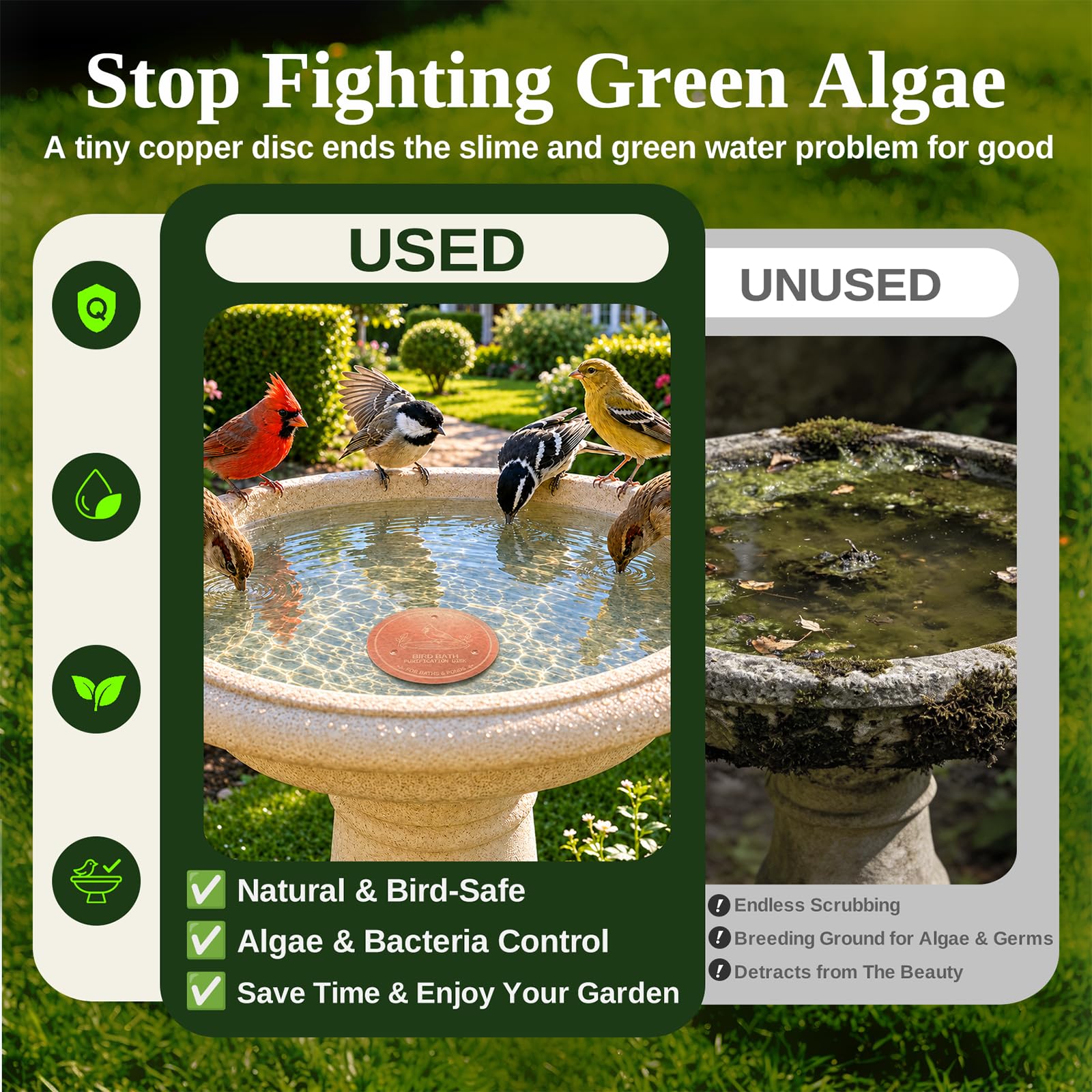 Azomabox disco colocado en baño de aves para agua más clara