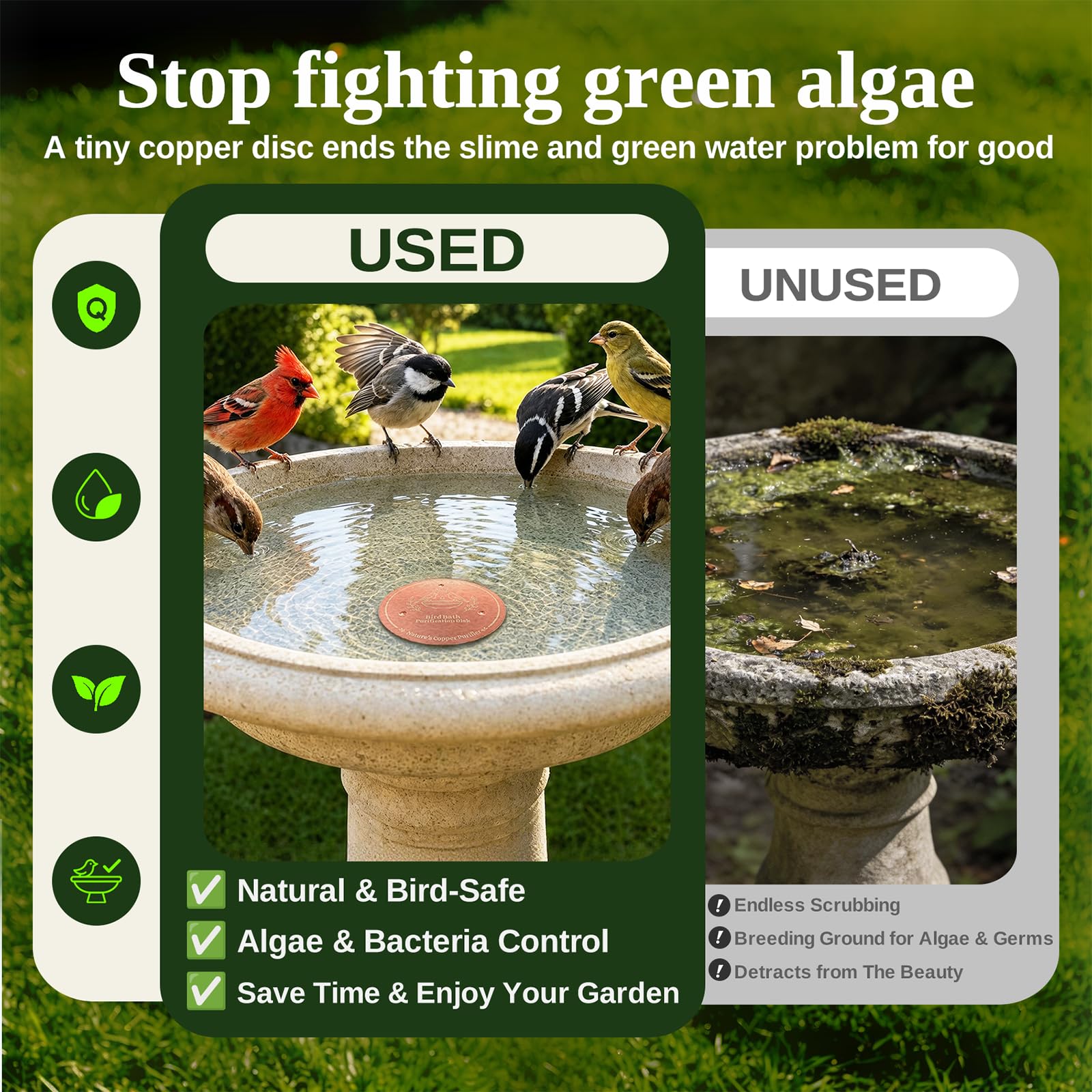 Azomabox disco colocado en pila de piedra con aves disfrutando agua más limpia