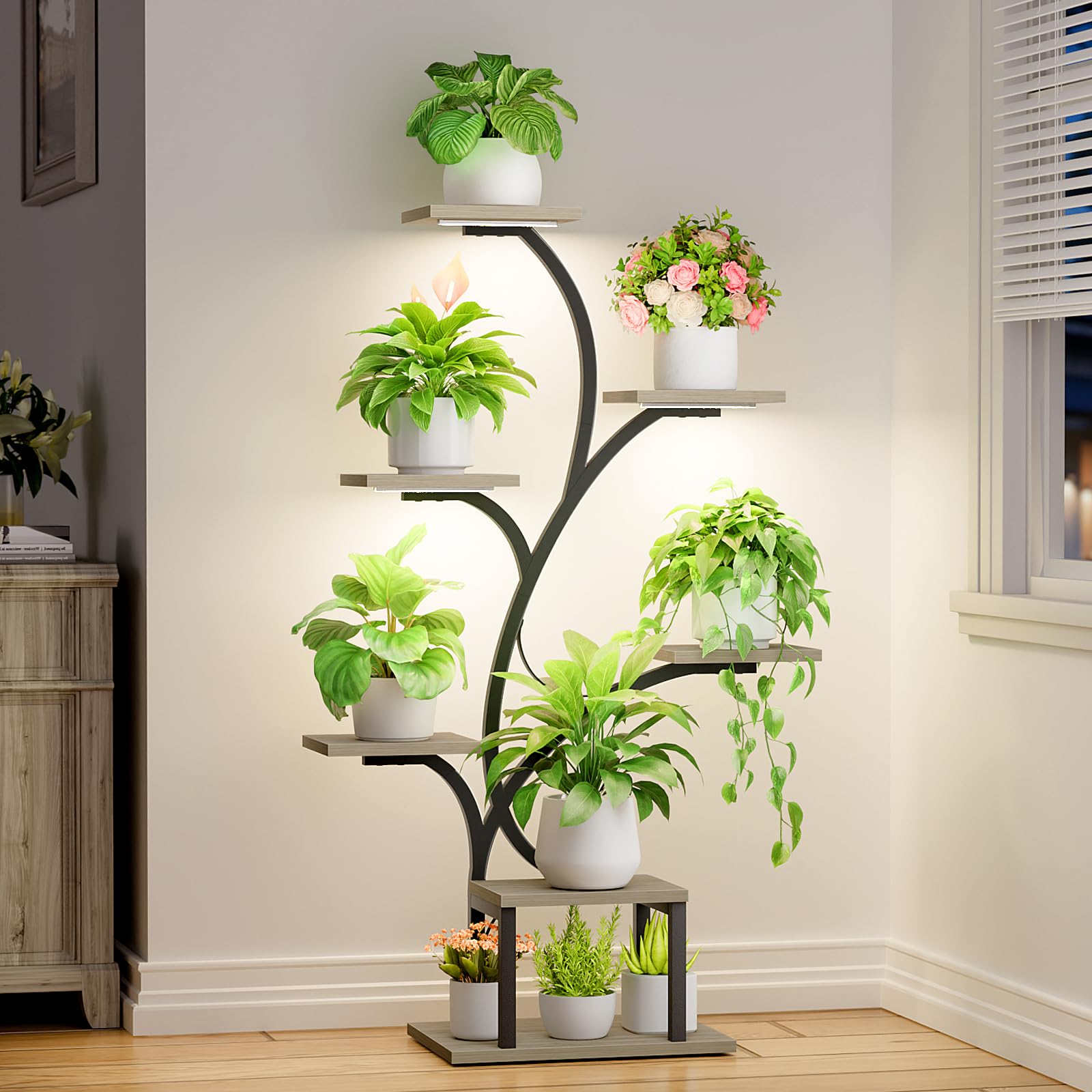 BACEKOLL vista frontal de estantería con plantas mostrando orden y luz