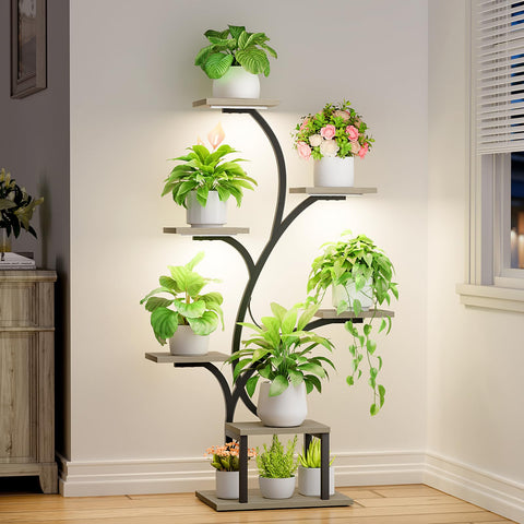 BACEKOLL vista frontal de estantería con plantas mostrando orden y luz