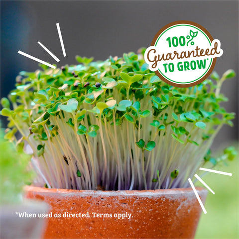 Back to the Roots etiqueta USDA Organic y Non-GMO, garantía de calidad