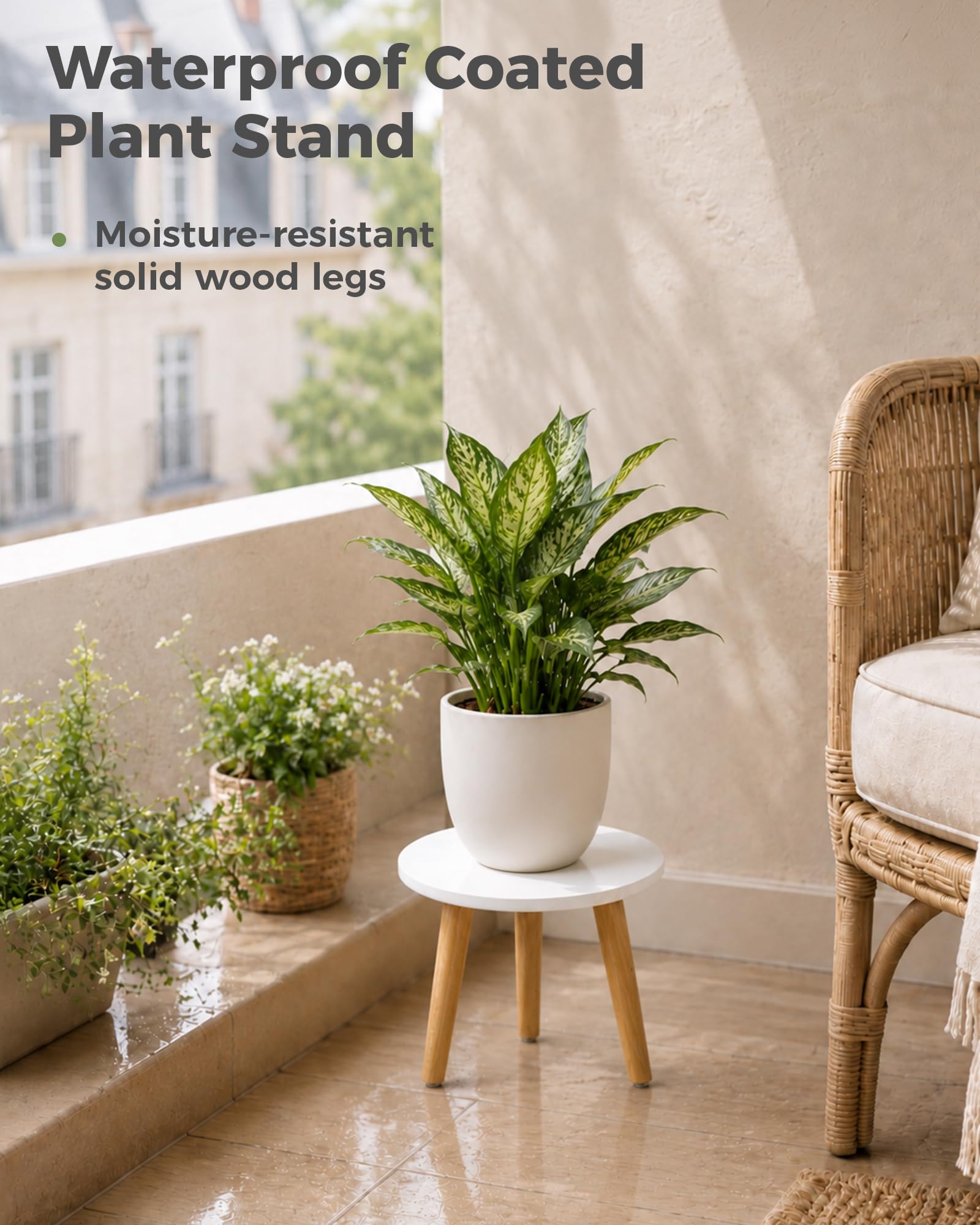 Bamworld primer plano pata con silicona antideslizante para seguridad