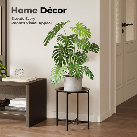 Bamworld en uso en salón realzando plantas y decoración