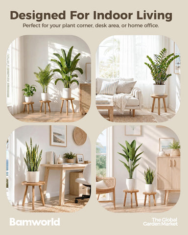 Bamworld soportes en esquina de balcón creando una zona verde compacta y elegante