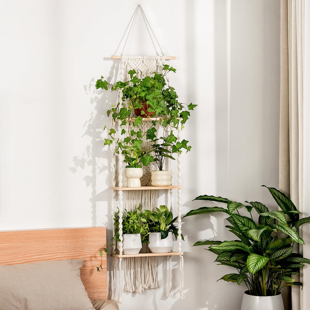 Bamworld estante de pared frontal mostrando su diseño boho y organización de plantas