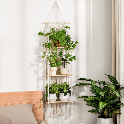 Bamworld estante de pared frontal mostrando su diseño boho y organización de plantas