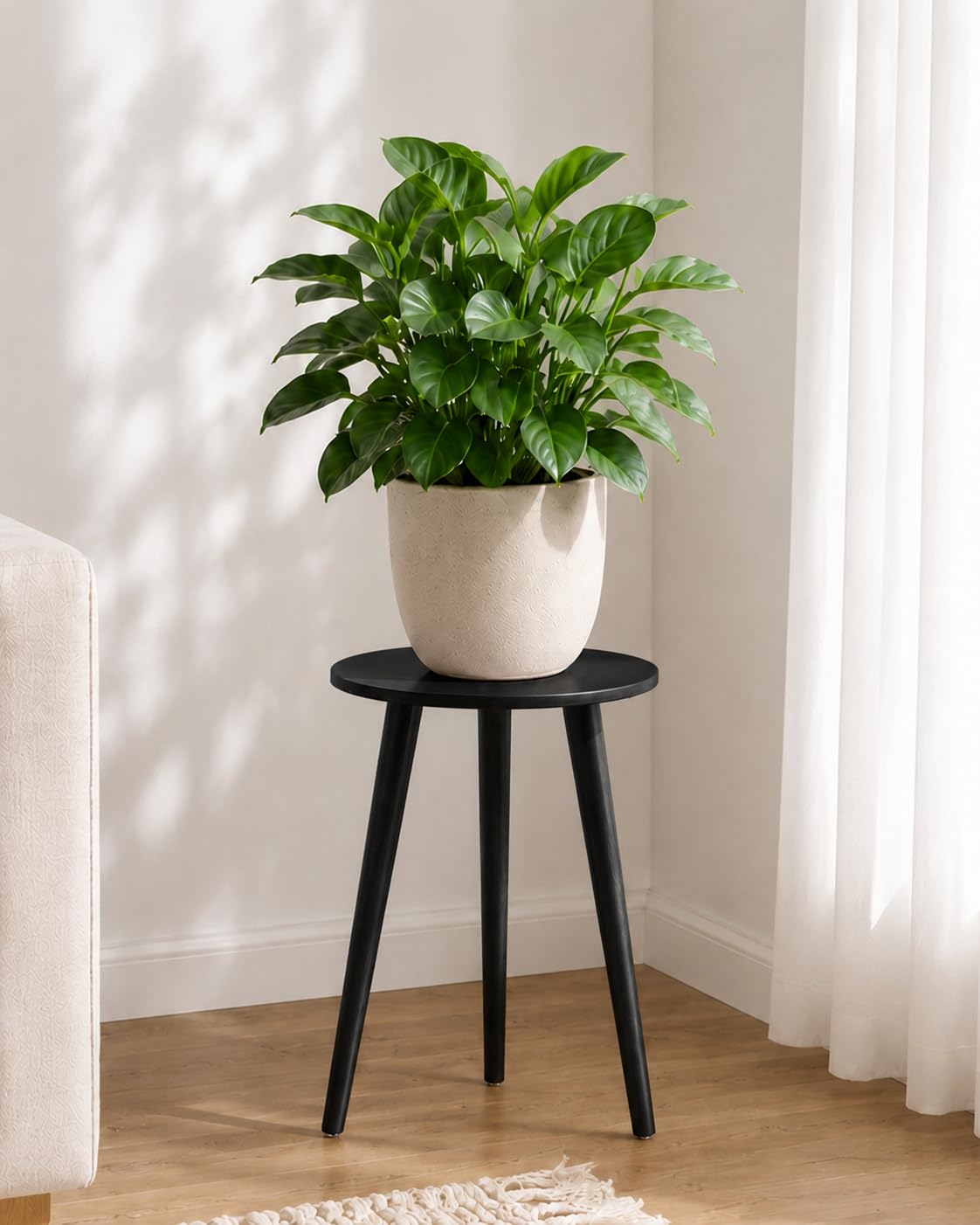 Bamworld soporte frontal mostrando estabilidad y acabado elegante