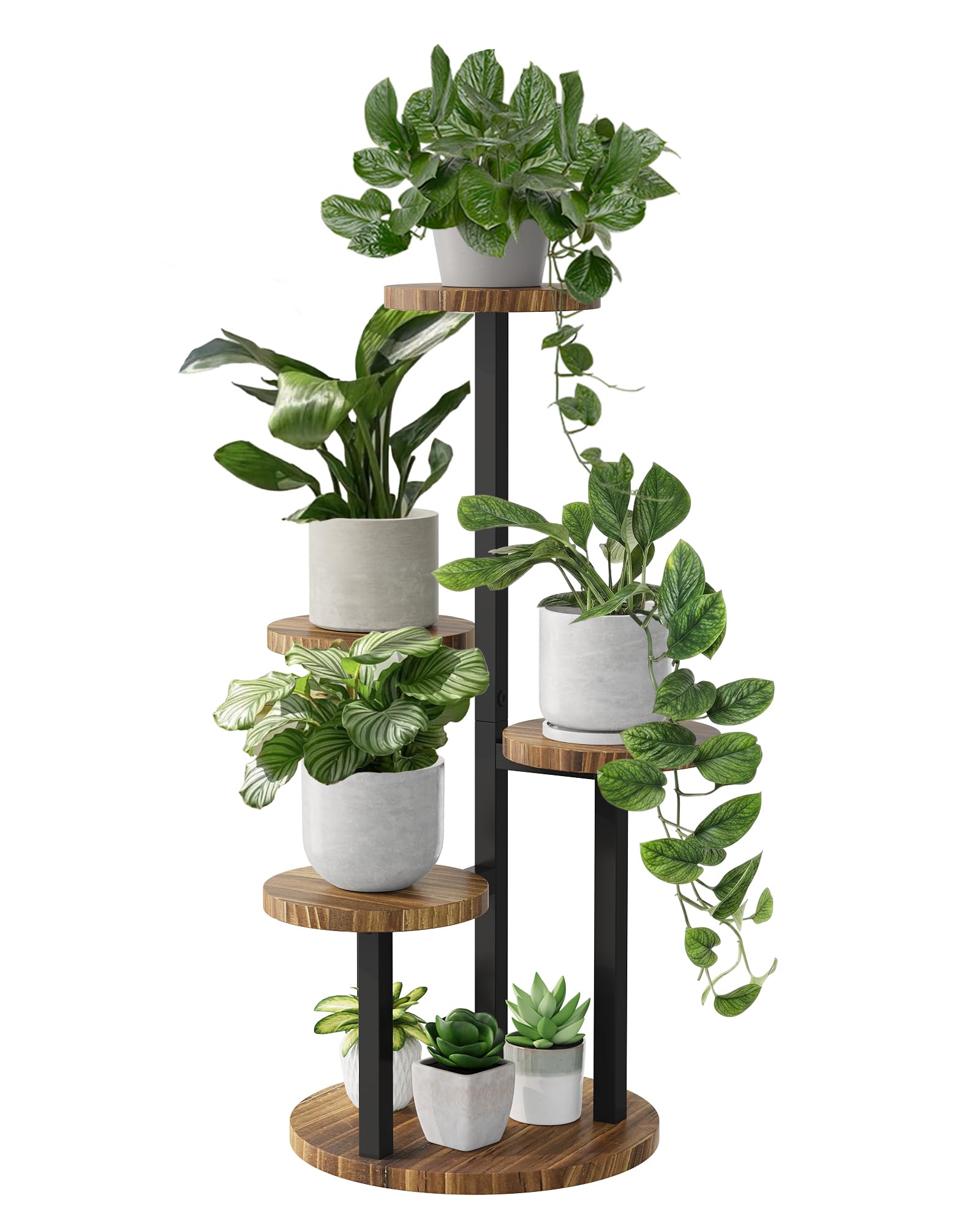 Bamworld soporte frontal mostrando cuatro niveles, organiza plantas eficientemente