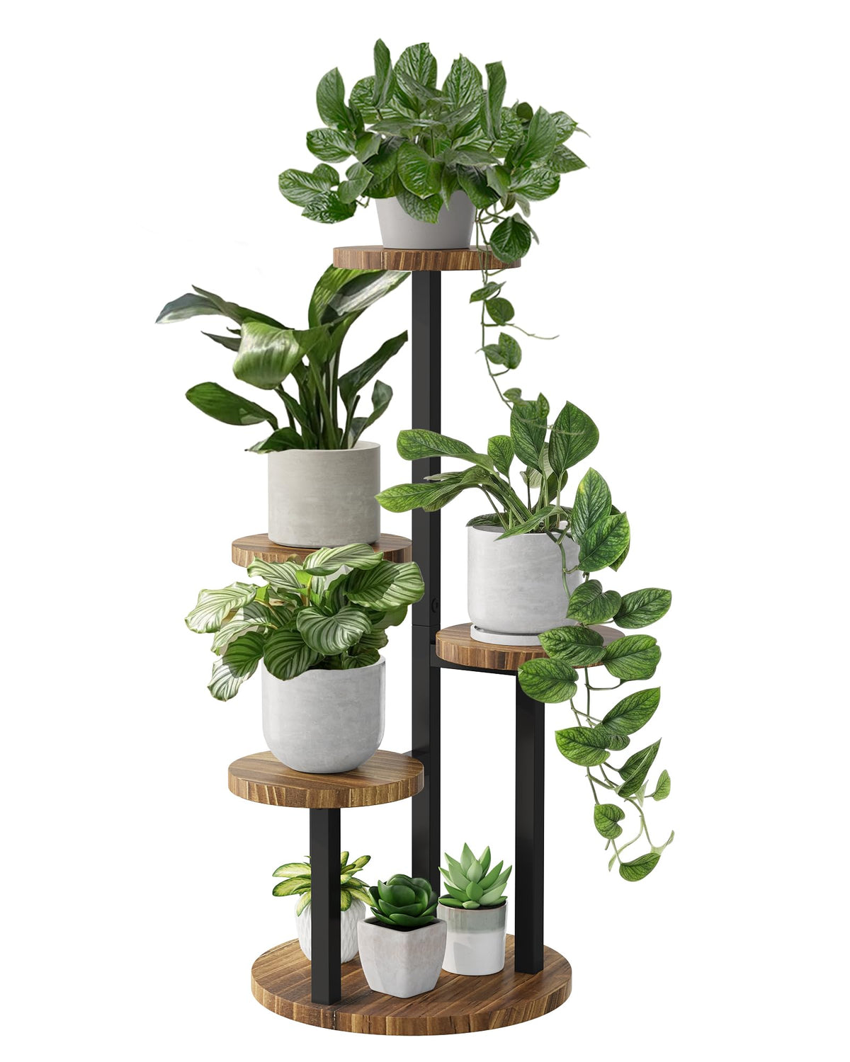 Bamworld soporte frontal mostrando cuatro niveles, organiza plantas eficientemente
