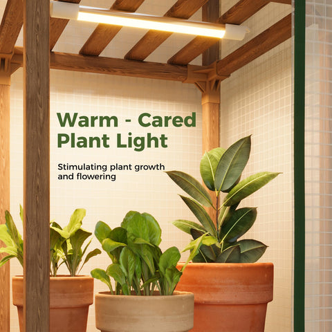 Bamworld luz LED encendida dentro del invernadero para crecimiento controlado