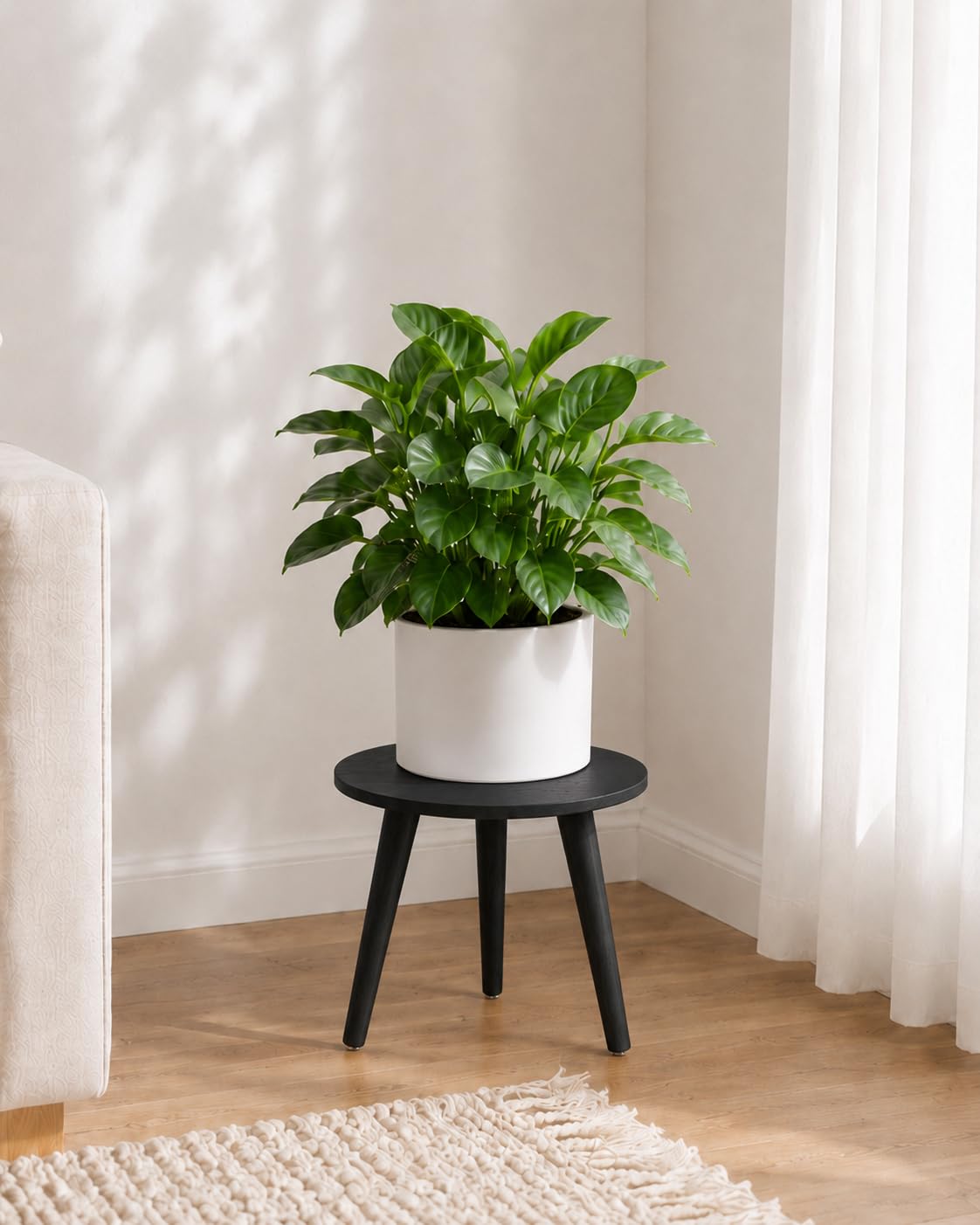 Bamworld soporte de plantas frontal mostrando su acabado negro y estabilidad