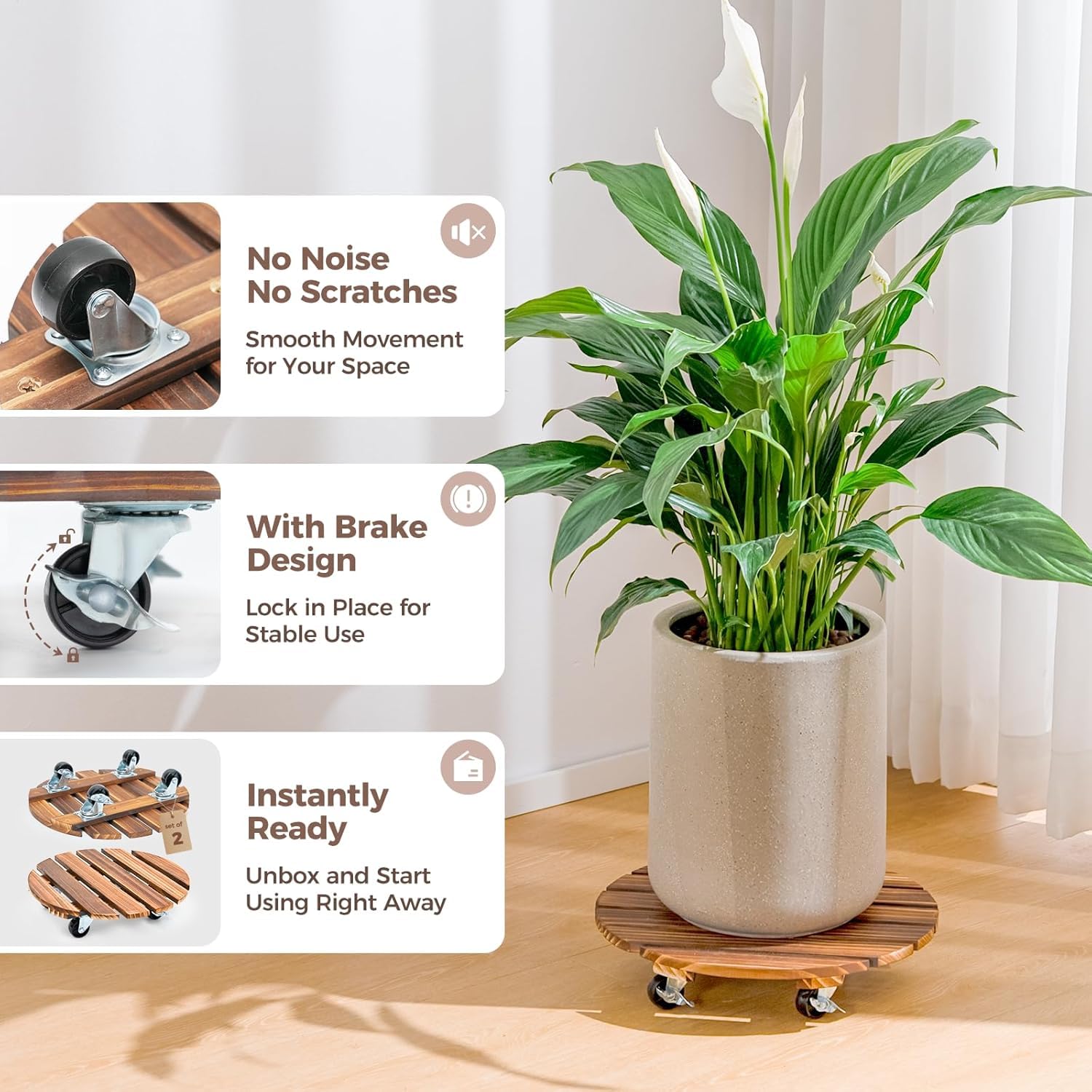 Bamworld plant caddy comparación de tamaño junto a una maceta estándar