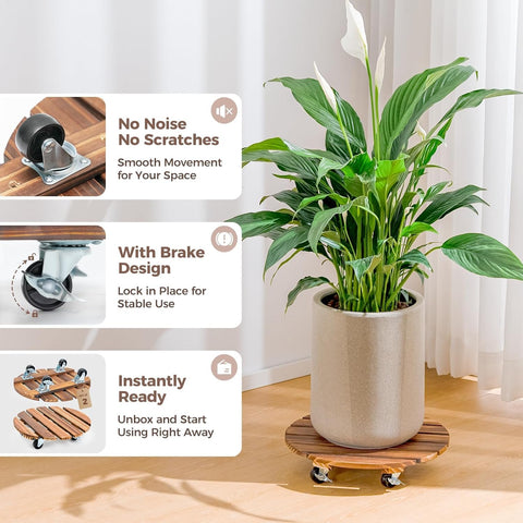 Bamworld plant caddy comparación de tamaño junto a una maceta estándar
