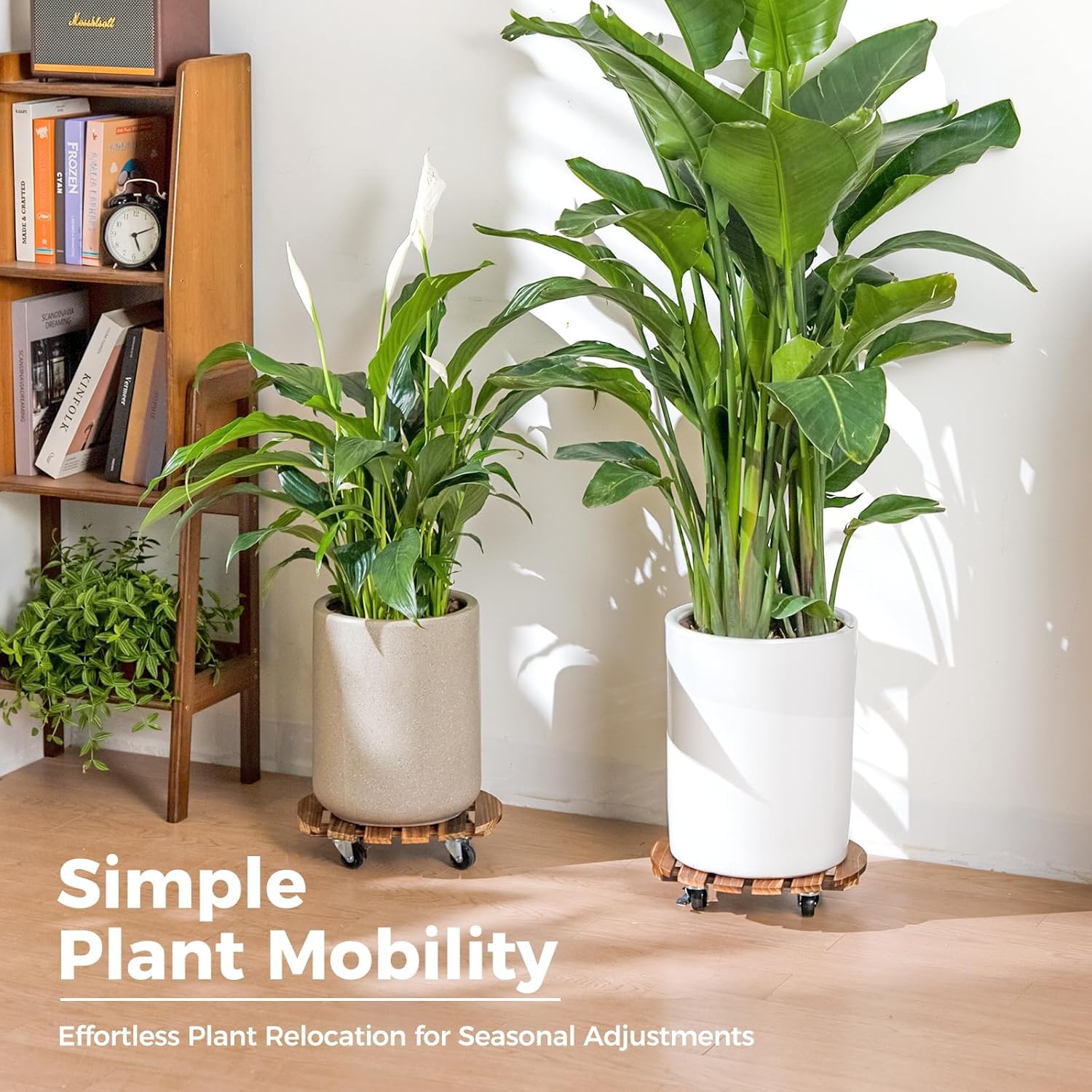 Bamworld plant caddy etiqueta y acabado escandinavo elegante