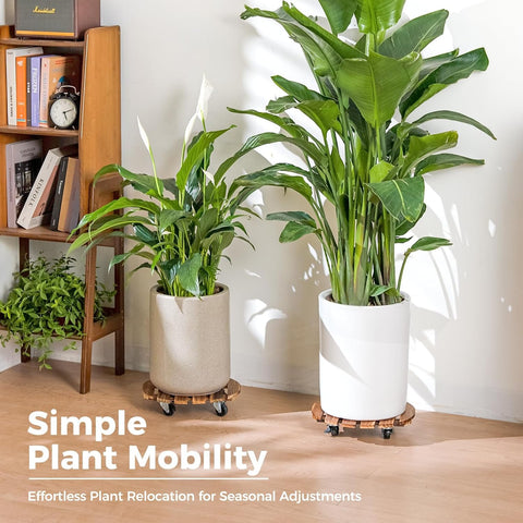 Bamworld plant caddy etiqueta y acabado escandinavo elegante