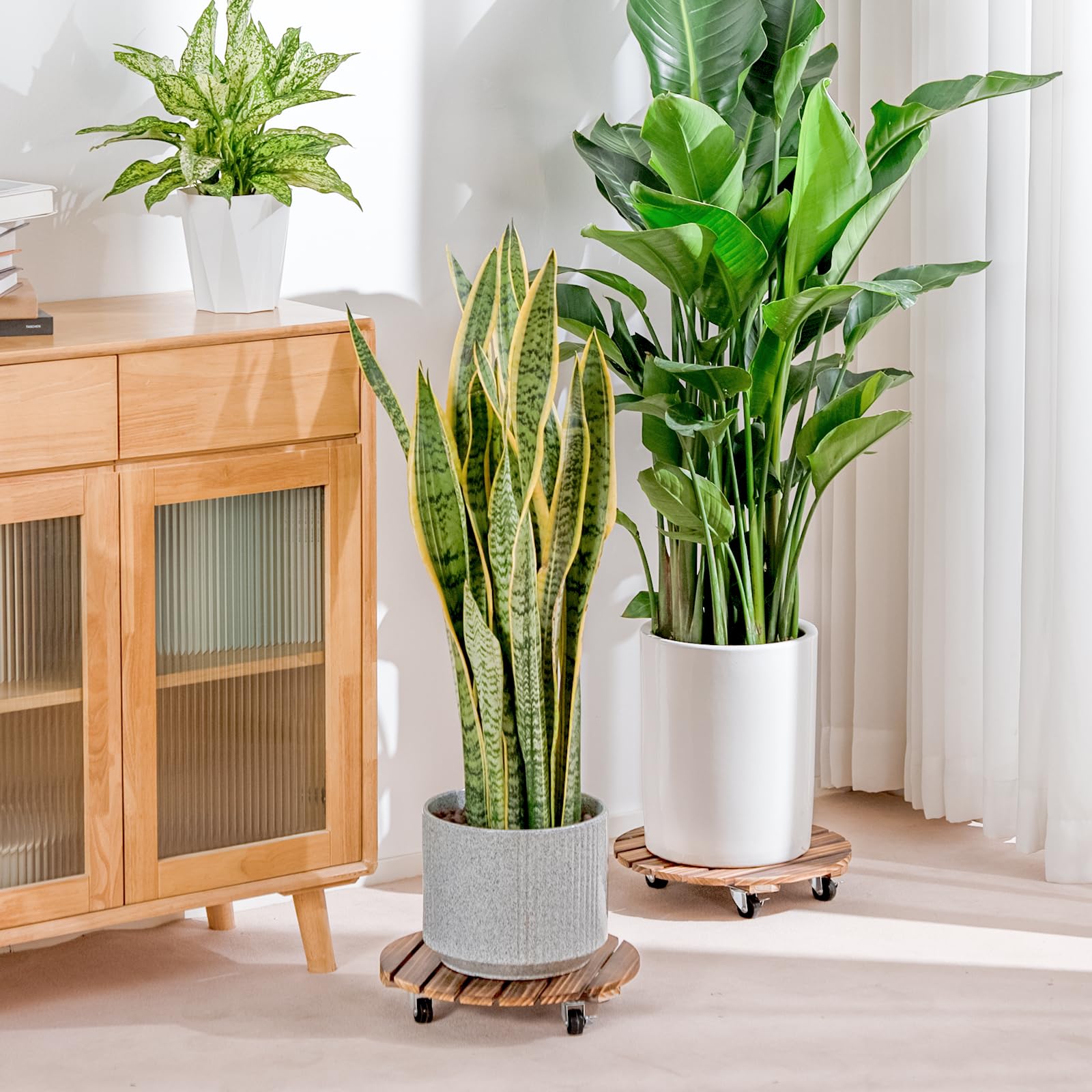 Bamworld plant caddy primer plano madera de acacia resistente