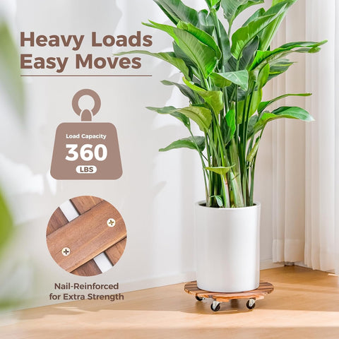 Bamworld plant caddy en terraza moviendo una maceta grande fácilmente