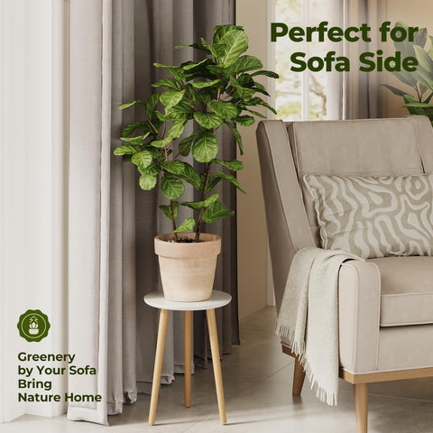 Bamworld soporte en salón con planta para mostrar integración y estilo