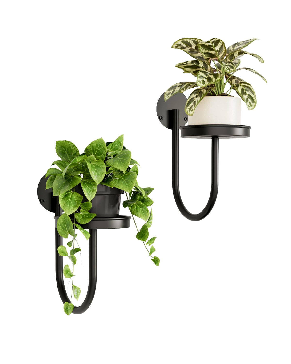 Bamworld vista frontal del soporte con bandeja amplia y aspecto estable