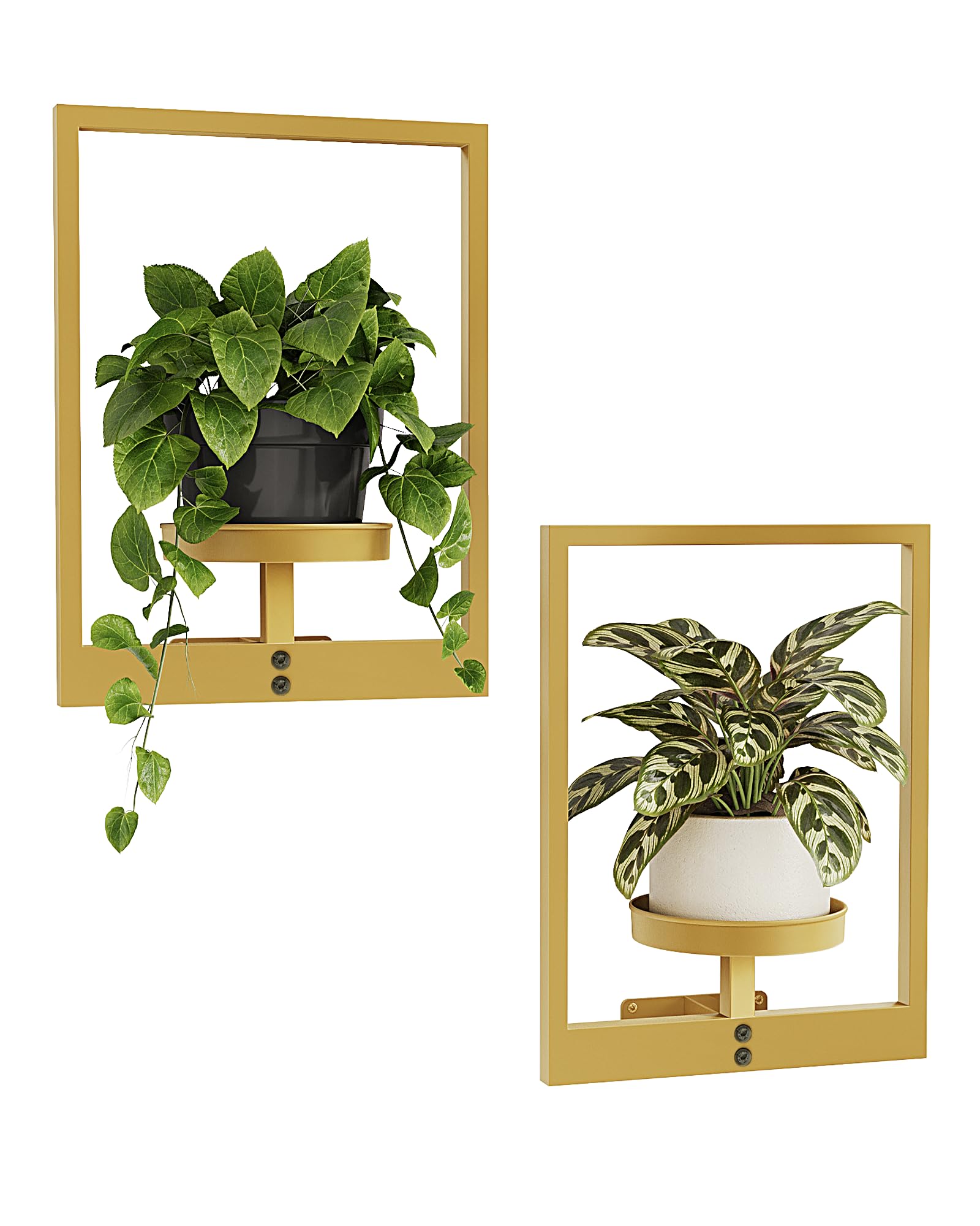 Bamworld soporte de pared frontal mostrando macetas y diseño elegante