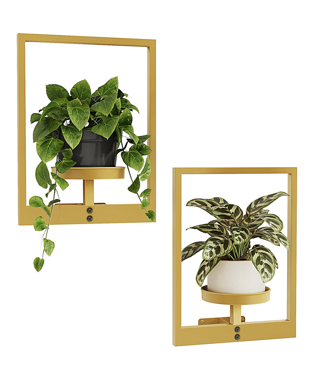 Bamworld soporte de pared frontal mostrando macetas y diseño elegante