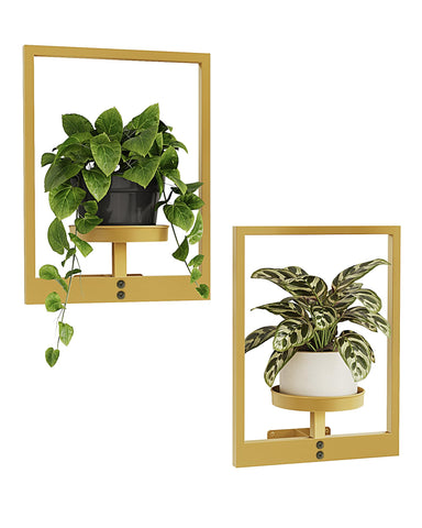 Bamworld soporte de pared frontal mostrando macetas y diseño elegante