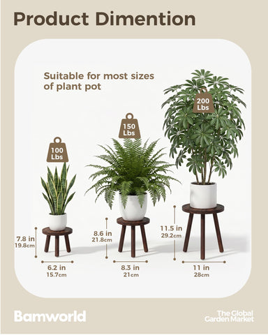 Bamworld conjunto en esquina optimiza espacio y destaca plantas