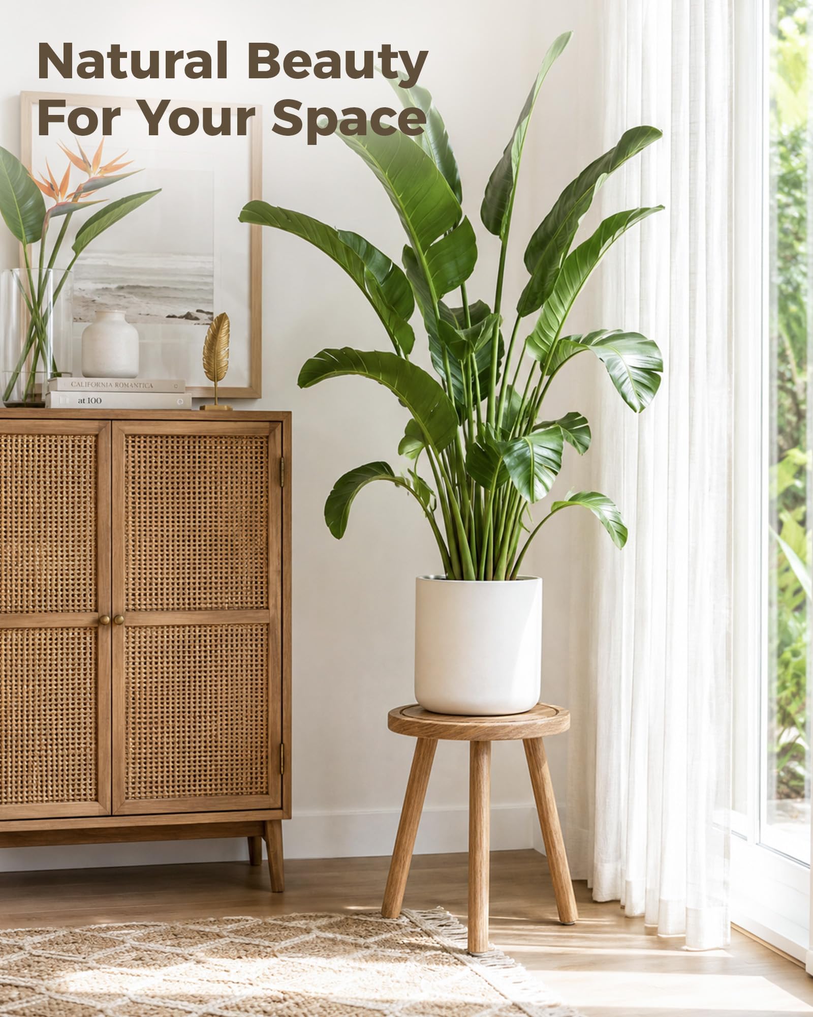 Bamworld uso multifuncional con libros y decoración para maximizar superficie útil