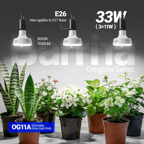 Barrina OG11A acercamiento a 36 chips LED, distribución de luz eficiente